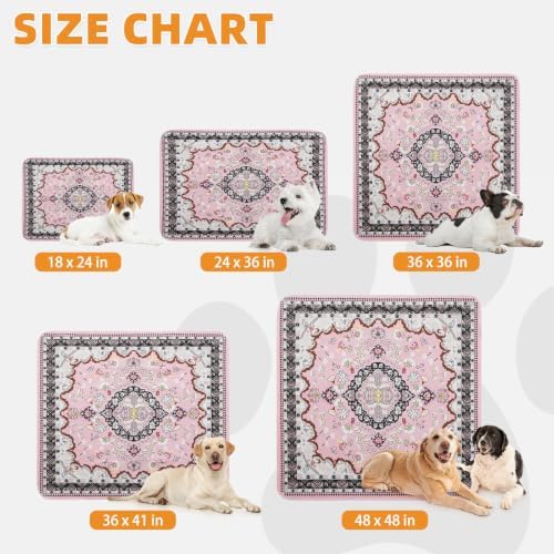 KOOLTAIL Washable Pee Pads for Dogs, 2 Pack Super Absorbent Reusable Puppy Training Pads Waterproof, Nonslip and Leak-Proof Dog Pee Pads, Large Pet Mats Whelping Pads for Floor, Crate, Couch, 36"x41"