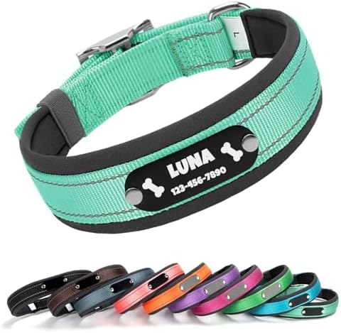 Custom Dog Collar with Engraved Name & Number, Turquoise: XL