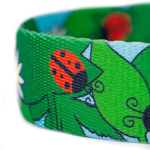 Country Brook Petz - Ladybug Picnic Everyday Dog Leash - Summer Breeze Collection Featuring Sunny Designs (6 Foot, 5/8 Inch Wide)
