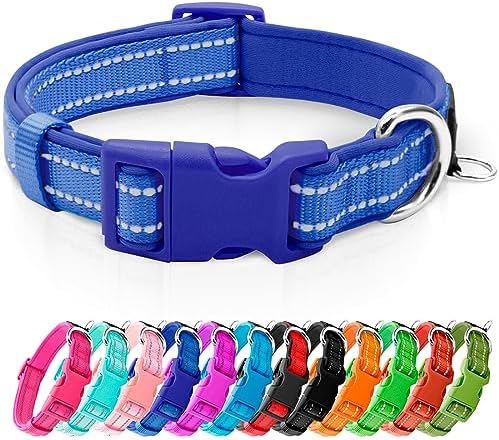azuza Reflective Dog Collar, Neoprene Padded Puppy Collar, Royal Blue, XS