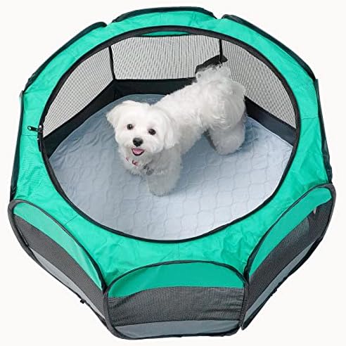 Paw Inspired Round Washable Pee Pads for Dogs, 29 Inch Size, Pack of 2