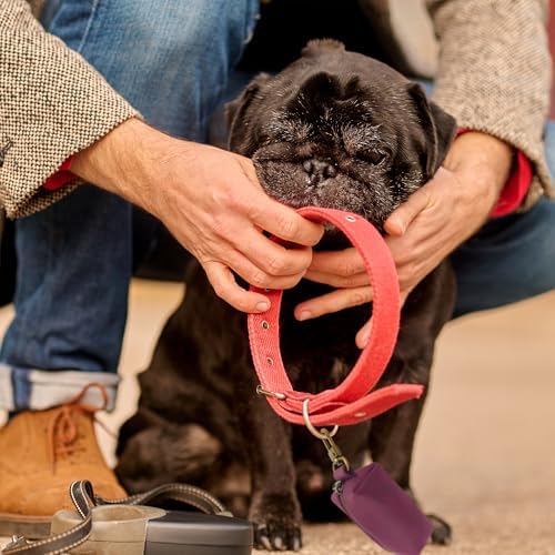 HIFA Genuine Leather Dog Waste Holder, Leash Attachable - Soft Touch Rustic Leather, Metal Clips and Easy Access to Pet Waste Bags - Dog Poop Dispenser for Outdoor Walking