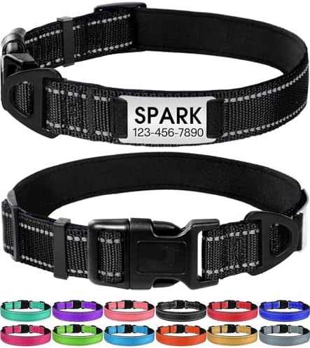 Joytale Personalized Dog Collar with Name Plate Built-in for Small Dogs
