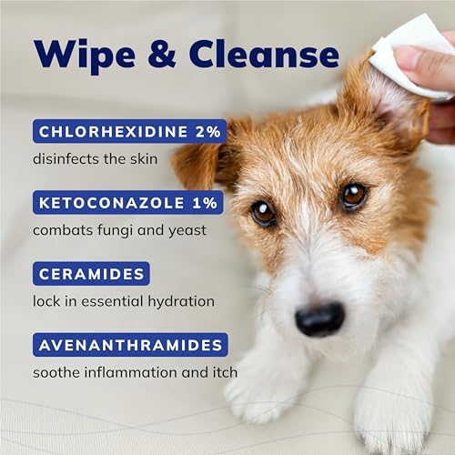 CeraSoothe CHX+KET Antiseptic Wipes for Dogs, Cats & Horses – Chlorhexidine 2% & Ketoconazole 1% for Skin & Coat Cleansing, 30 Count (Pack of 3)