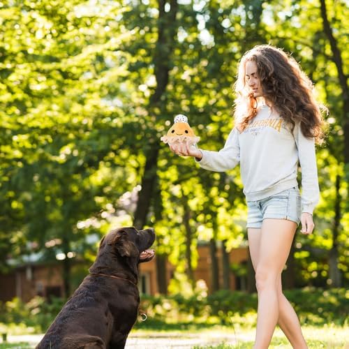 Flourish Pets 2 in 1 Multi-Layer Chew Toy for Active Dogs | Non-Toxic BPA Free Double Stitched Soft Fabric Exterior Dog Toys | Long-Lasting Dog Plush Toys – Pumpkin Pie