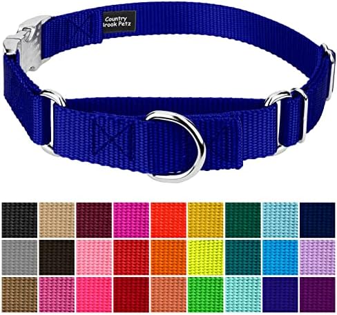 Country Brook Petz - Martingale Dog Collar - Heavy Duty Nylon Adjustable Martingale Dog Collar with Metal Buckle for Small Medium Large Breeds - 30+ Color Options (3/4 Inch, Small, Bright Royal Blue)