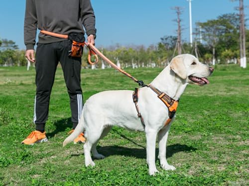 TRUE LOVE Adjustable No-Pull Dog Harness Reflective Vest, Orange, XL