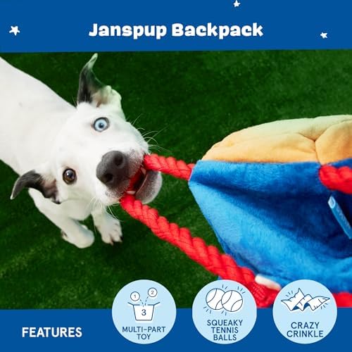 BarkBox Janspup Backpack 3-in-1 Interactive Plush Dog Toy