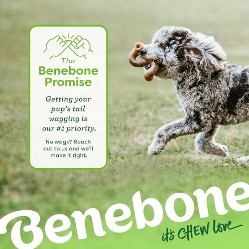Benebone Tripe Bone Durable Dog Chew Toy for Aggressive Chewers, Real Tripe, Made in USA, Small