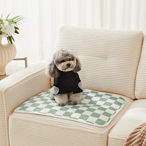 2 Pack Sage Green Checkered Washable Pee Pads for Dogs, Checkered Reusable Dog Pee Pads, for Puppy Playpen, Crate, Whelping Box, Potty Training, Cute Aesthetic Absorbency, Leak-Proof Non-Slip