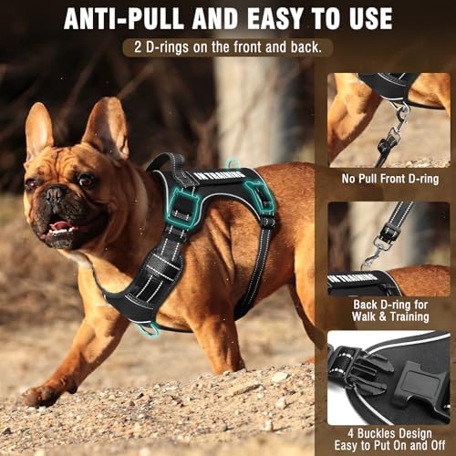 Tactical Dog Harness and Leash Set Medium Sized Dog+10 Dog Patches