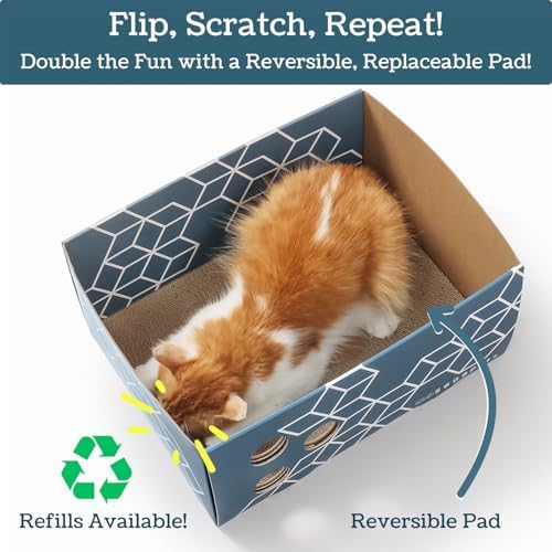 No-Mess Cat Scratcher Box + 3 Refillable Double-Sided Scratch Pads