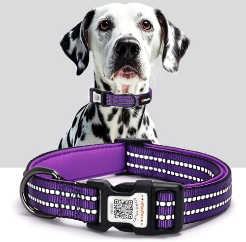 Personalized Dog Collar with QR Code Dog Tag, Purple L