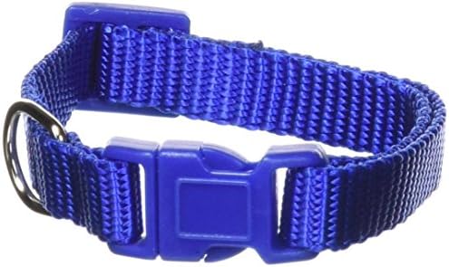 Zack & Zoey ⅜" Wide Nylon Dog Collar, Fits Necks 6" to 10", Nautical Blue