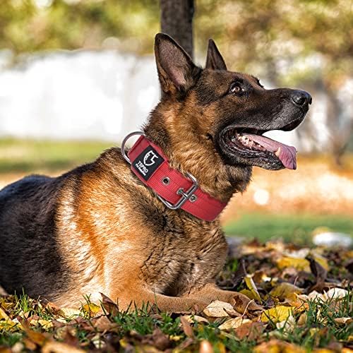 TSPRO Heavy Duty Thick Dog Collar with Metal Buckle for Medium Dogs
