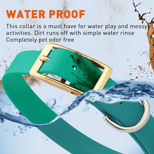 Viper Biothane Heavy Duty Waterproof Dog Collar Strong Coated Nylon Webbing w/Solid Brass Hardware Odor-Proof Easy to Clean High Performance Fits Small Medium or Large Dogs, Teal