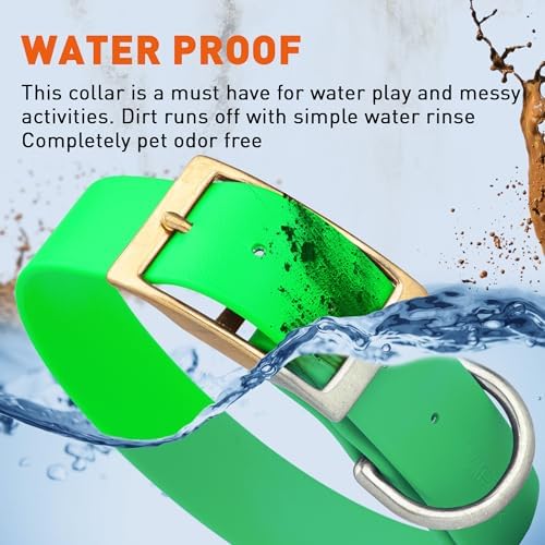 Viper Biothane Heavy Duty Waterproof Dog Collar Strong Coated Nylon Webbing w/Solid Brass Hardware Odor-Proof Easy to Clean High Performance Fits Small Medium or Large Dogs, Tropical Green