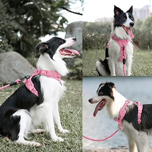 PoyPet Dog Harness and Leash Set, No Pull Vest with Front Clip and Handle