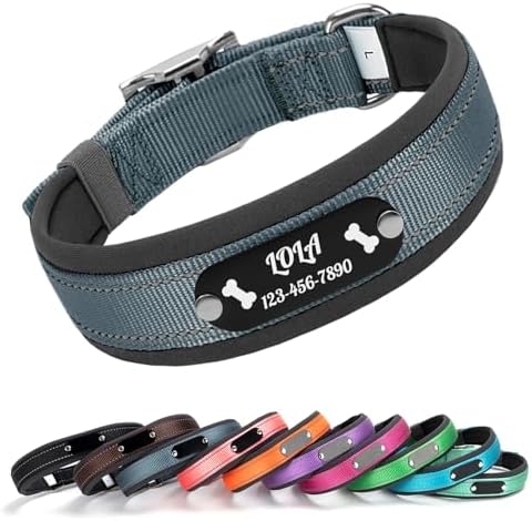 Custom Dog Collar with Engraved Name & Number, Gray: XL