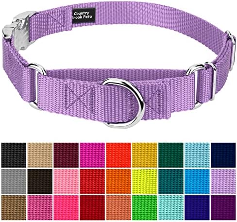 Country Brook Petz - Martingale Dog Collar - Heavy Duty Nylon Adjustable Martingale Dog Collar with Metal Buckle for Small Medium Large Breeds 30+ Color Options (1 Inch, Medium, Lavender)