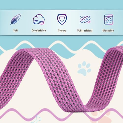 Reflective Dog Collar and Leash Set, Nylon Dog Leash with Heavy-Duty Steel D-Ring, Adjustable with Quick Release Buckle for Small Dogs, Purple S