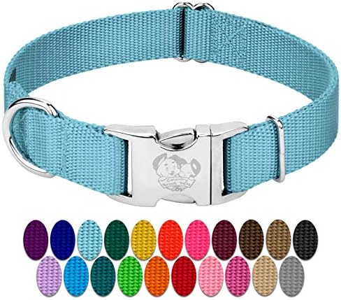 Country Brook Petz - Premium Nylon Dog Collar with Metal Buckle for Small Medium Large Breeds - 30+ Colors (Small, 3/4 Inch, Ocean Blue)