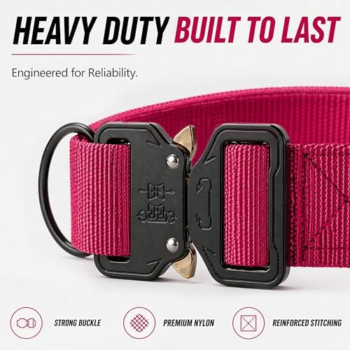 Caramel Personalized Tactical Dog Collar with Heavy Duty Nylon