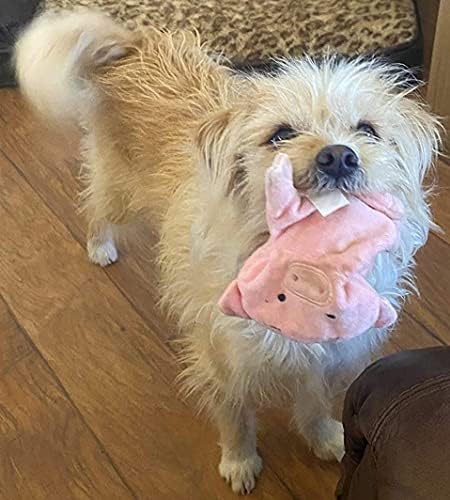Pig and Boar Crinkle Squeaker Pet Toys Two Pack - for Dogs, Pigs, and Other Small Pets