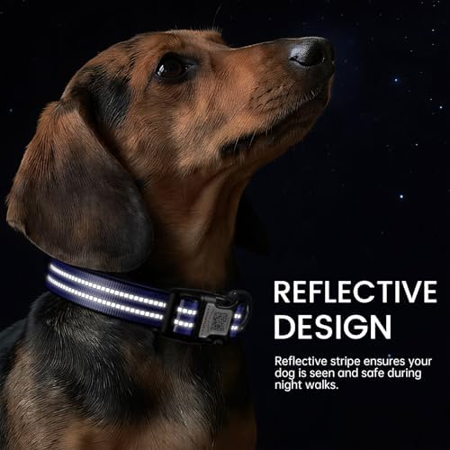 Personalized Dog Collar with QR Code Dog Tag, Navy Blue M