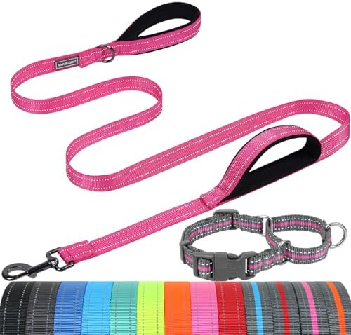 VIVAGLORY Double Handle Dog Leash Twingrip, 5ft x 1in, S, Pink Grey