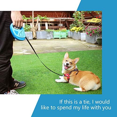 Retractable Dog Leash with LED Flashlight, 16 ft Dog Safety Walking Leashes for Small Medium Large Dogs up to 110 lbs,Tangle Free, Anti-Slip Comfort Grip (Large- 16 ft up to 110 lbs, Blue)