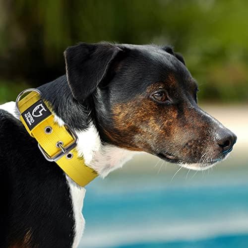 TSPRO Heavy Duty Thick Dog Collar with Metal Buckle for Large Dogs