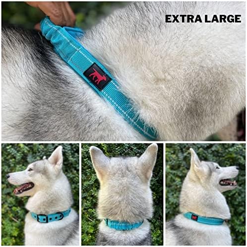 Tuff Pupper Heavy Duty Dog Collar with Handle | Ballistic Nylon Heavy Duty Collar | Padded Reflective Dog Collar with Adjustable Stainless Steel Hardware | Convenient Sizing for All Breeds