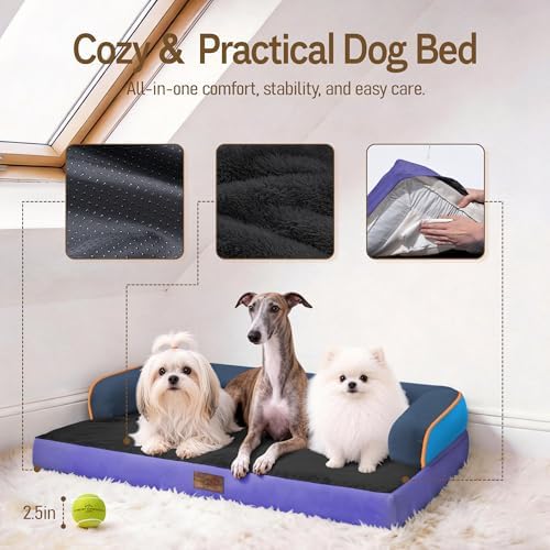 Comfort Expression Orthopedic XL Dog Bed for Large and Extra Large Dogs