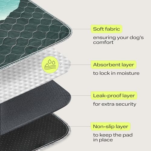 PetSpy Washable Pee Pads for Dogs - Waterproof Reusable Puppy Pads No-Slip Surface - Stylish Dog Potty Training Pads Protect Against Leakage (Landscape, 1 Pack - 72" x 72")