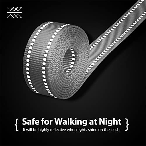 PHOEPET 5 Feet Dog Leash - Dual-Side Reflective - Soft Padded Handle