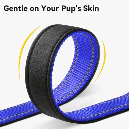 Joytale Personalized Dog Collar with Name Plate Built-in for Small Dogs