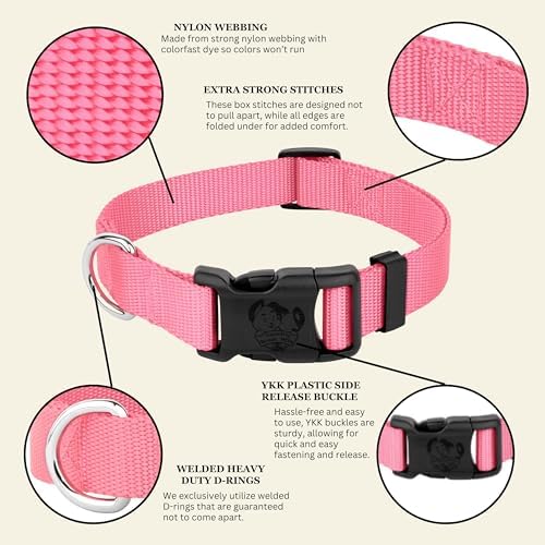 Country Brook Petz - Everyday Nylon Dog Collar for Large, Medium, and Small Dogs and Puppies - for Everyday Use in 30+ Colors (Medium, 3/4 Inch Wide, Pink)