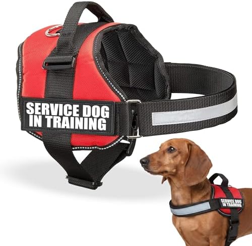 Industrial Puppy Service Dog in Training Vest Harness, XS 16.5-21.5 in Red