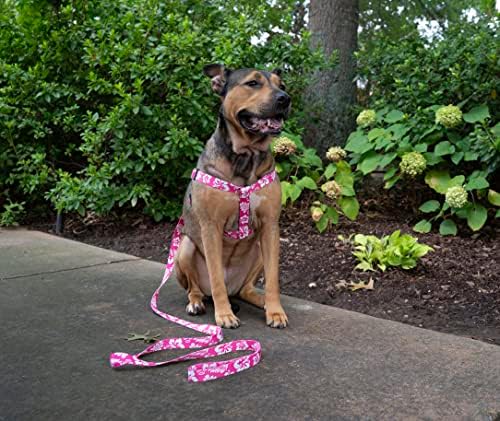 Country Brook Petz - Pink Hawaiian Everyday Dog Leash - Summer Breeze Collection Featuring Sunny Designs (6 Foot, 1 Inch Wide)
