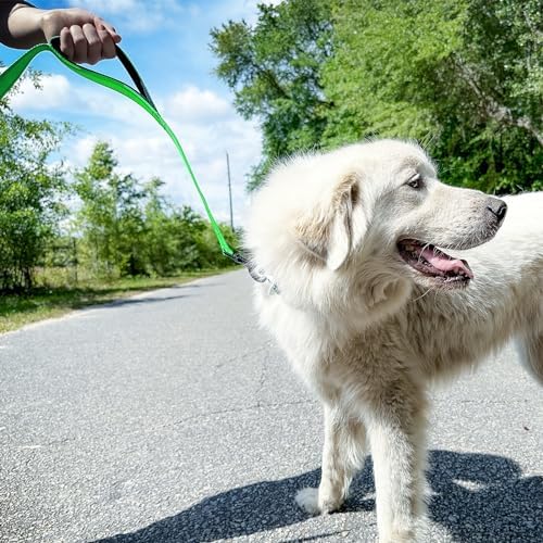 Joytale Dog Leash for Large Dogs that Pull, Double Handle, 6FT, Green