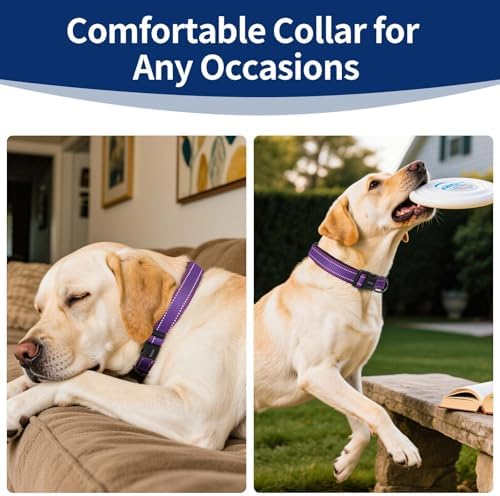 Kazazoo Large Dog Collar, Reflective Collar,No Pull,Heavy Duty Collar,Soft Neoprene & Quick Release Buckle Dog Collars for Labrador,German Shepherd,Golden Retriever Purple-XL