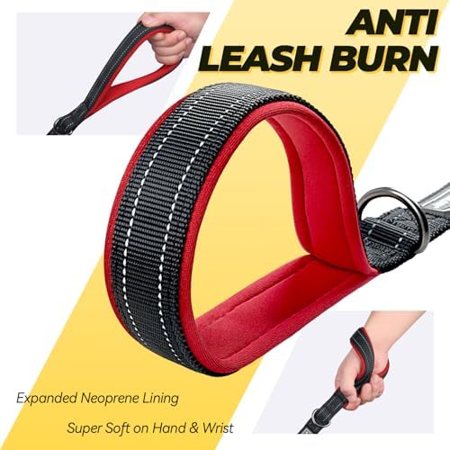 VIVAGLORY Double Handle Dog Leash Twingrip, 5ft x 1in, Black