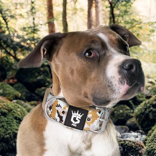 TSPRO Heavy Duty Thick Dog Collar with Metal Buckle for Medium Dogs