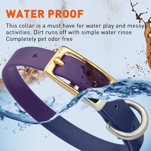 Viper Biothane Heavy Duty Waterproof Dog Collar Strong Coated Nylon Webbing w/Solid Brass Hardware Odor-Proof Easy to Clean High Performance Fits Small Medium or Large Dogs, Violet Purple