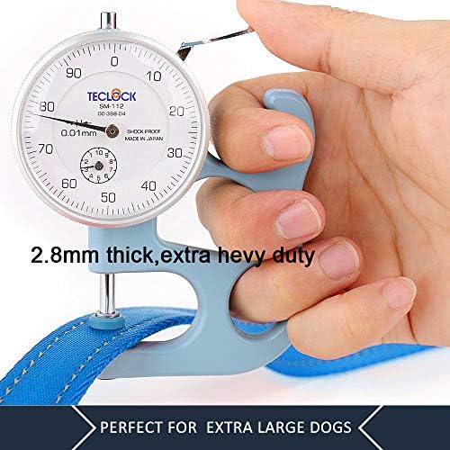 Plutus Pet Double Handle Dog Leash, 6 FT Long, for Medium Large Dogs