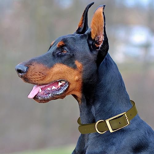 Viper Biothane Heavy Duty Waterproof Dog Collar Strong Coated Nylon Webbing w/Solid Brass Hardware Odor-Proof Easy to Clean High Performance Fits Small Medium or Large Dogs, Olive Drab Green