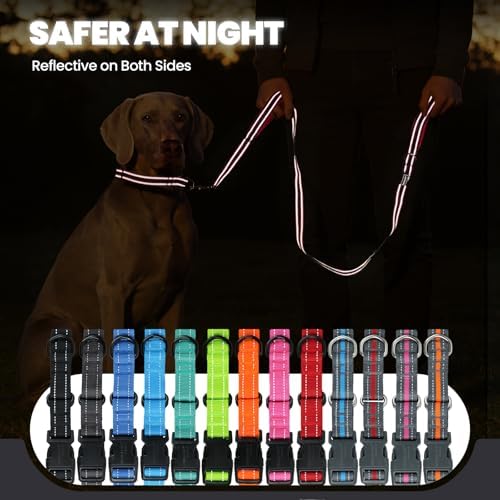 VIVAGLORY Double Handle Dog Leash Twingrip, 5ft x 1in, S, Black