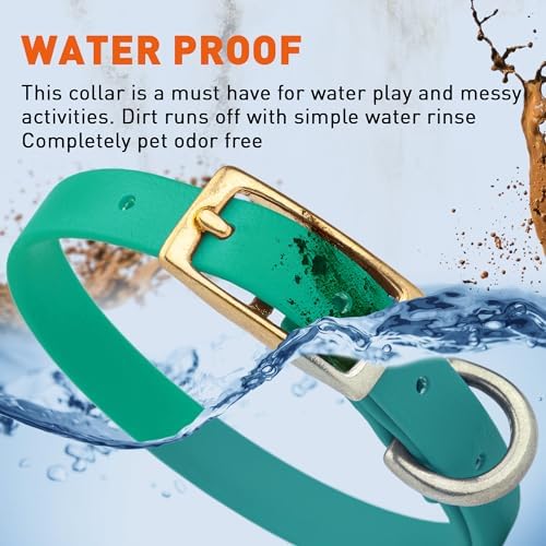 Viper Biothane Heavy Duty Waterproof Dog Collar Strong Coated Nylon Webbing w/Solid Brass Hardware Odor-Proof Easy to Clean High Performance Fits Small Medium or Large Dogs, Teal
