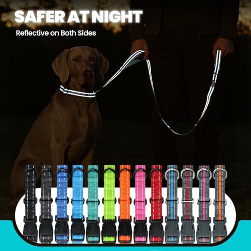 VIVAGLORY Double Handle Dog Leash Twingrip, 5ft x 1in, M, Grey